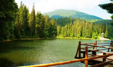 Чарівний світ заповідників України: багатство природи, яким ми можемо пишатися